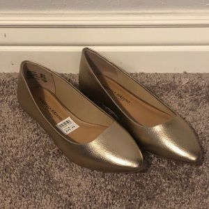 alizer natur flats